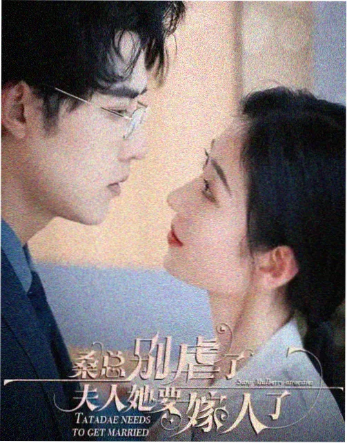 影视大全最新版 电视剧
